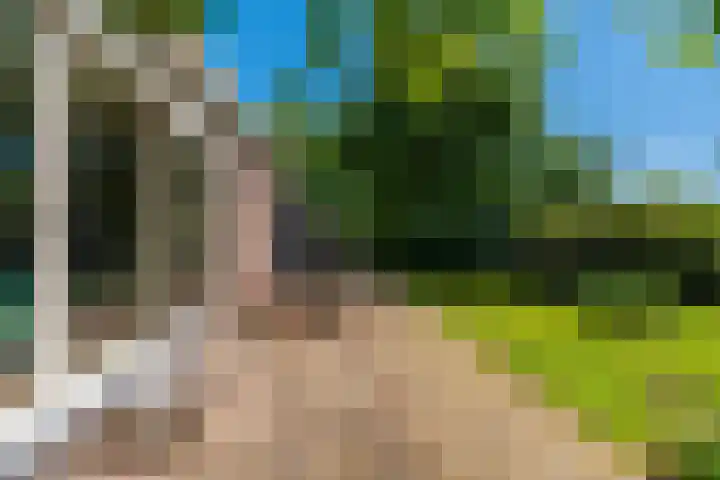 Langewijk 6 Froombosch thumbnail 71