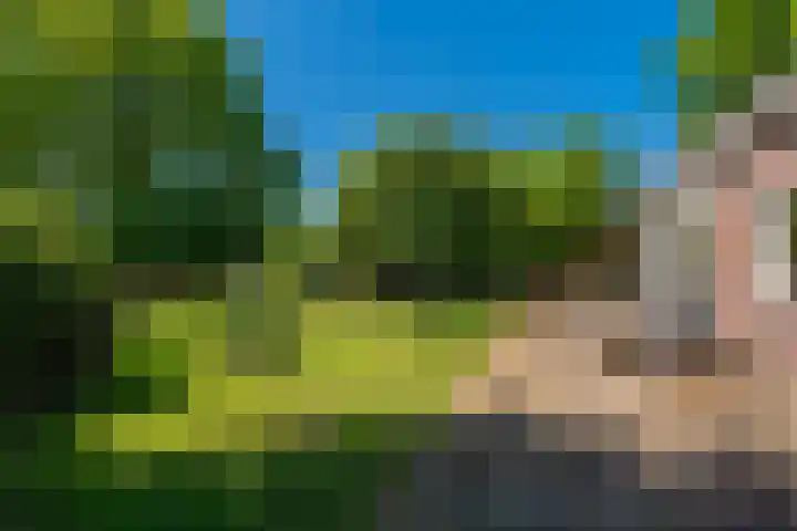 Langewijk 6 Froombosch thumbnail 72