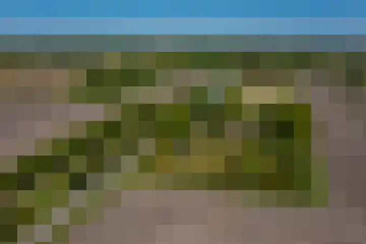 Langewijk 6 Froombosch thumbnail 76