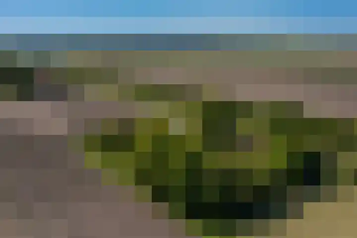 Langewijk 6 Froombosch thumbnail 8