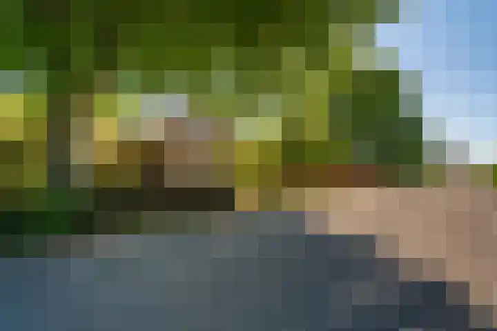Langewijk 6 Froombosch thumbnail 9