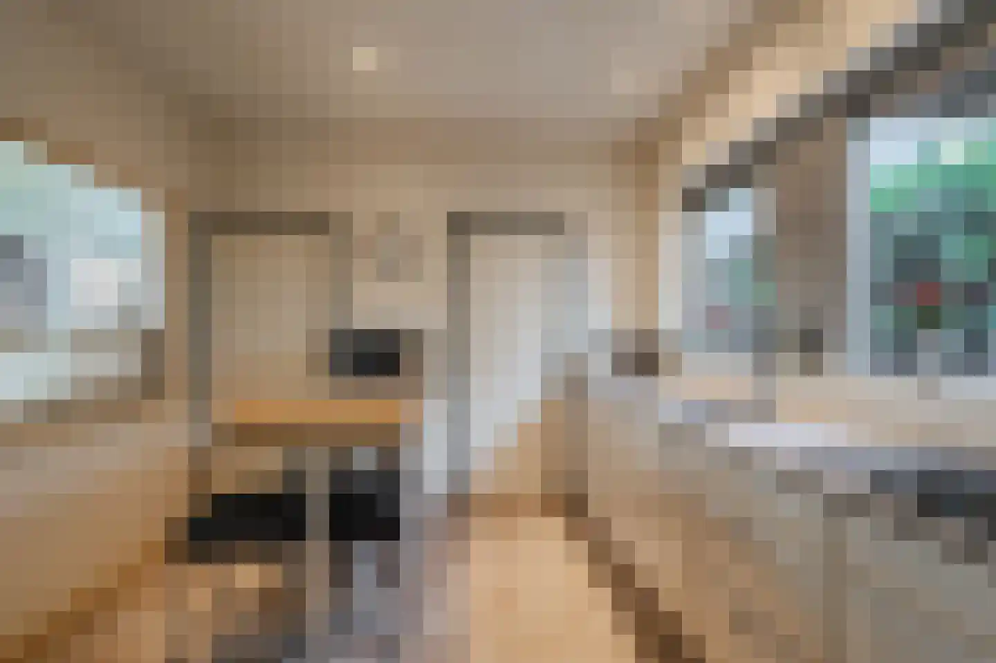 Langewijk 81 Sappemeer thumbnail 10