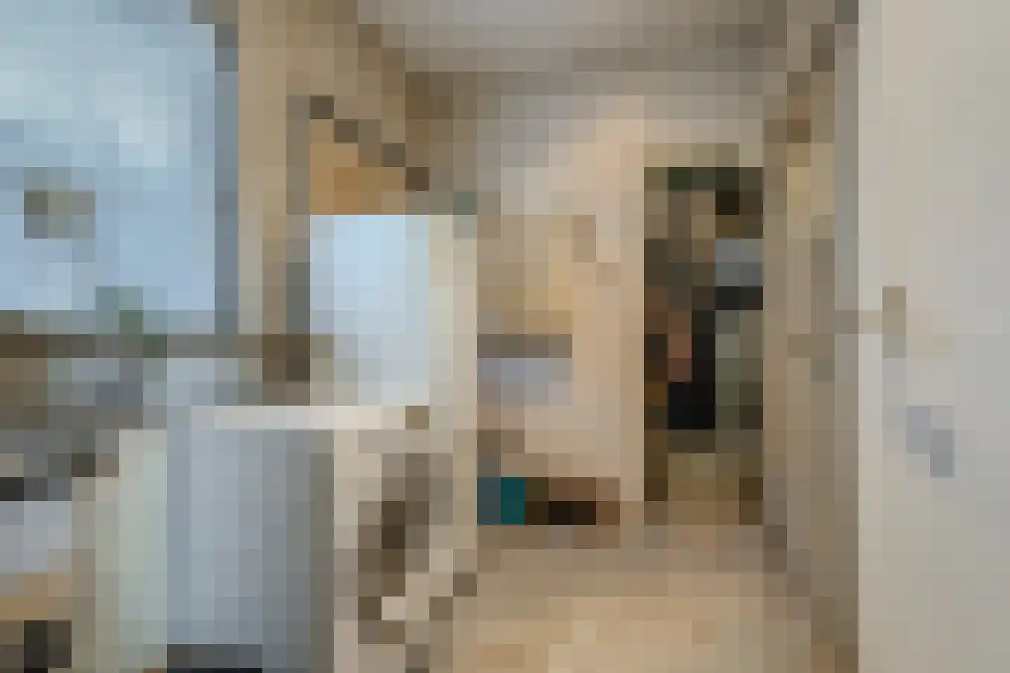 Langewijk 81 Sappemeer thumbnail 11