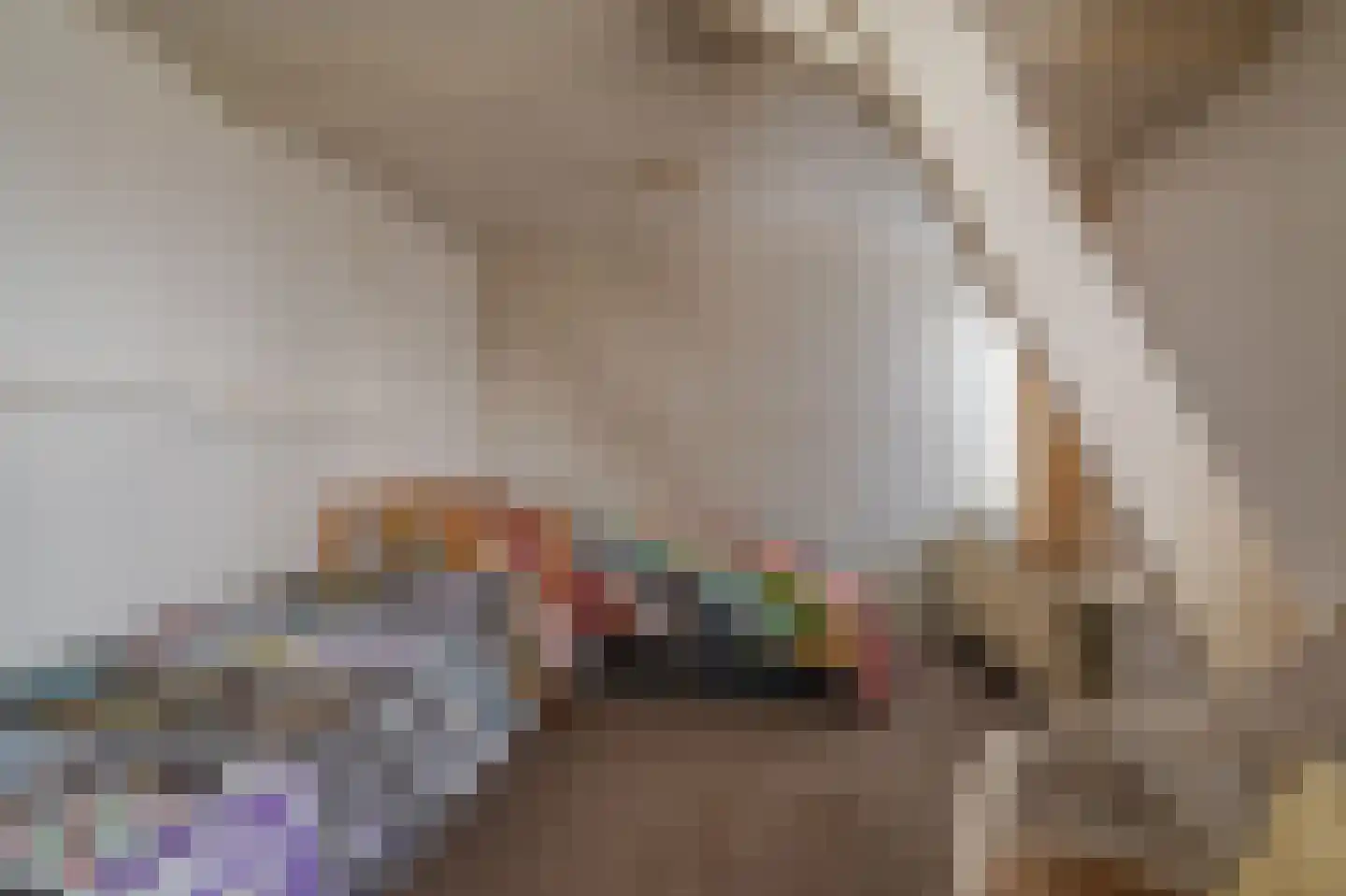 Langewijk 81 Sappemeer thumbnail 17