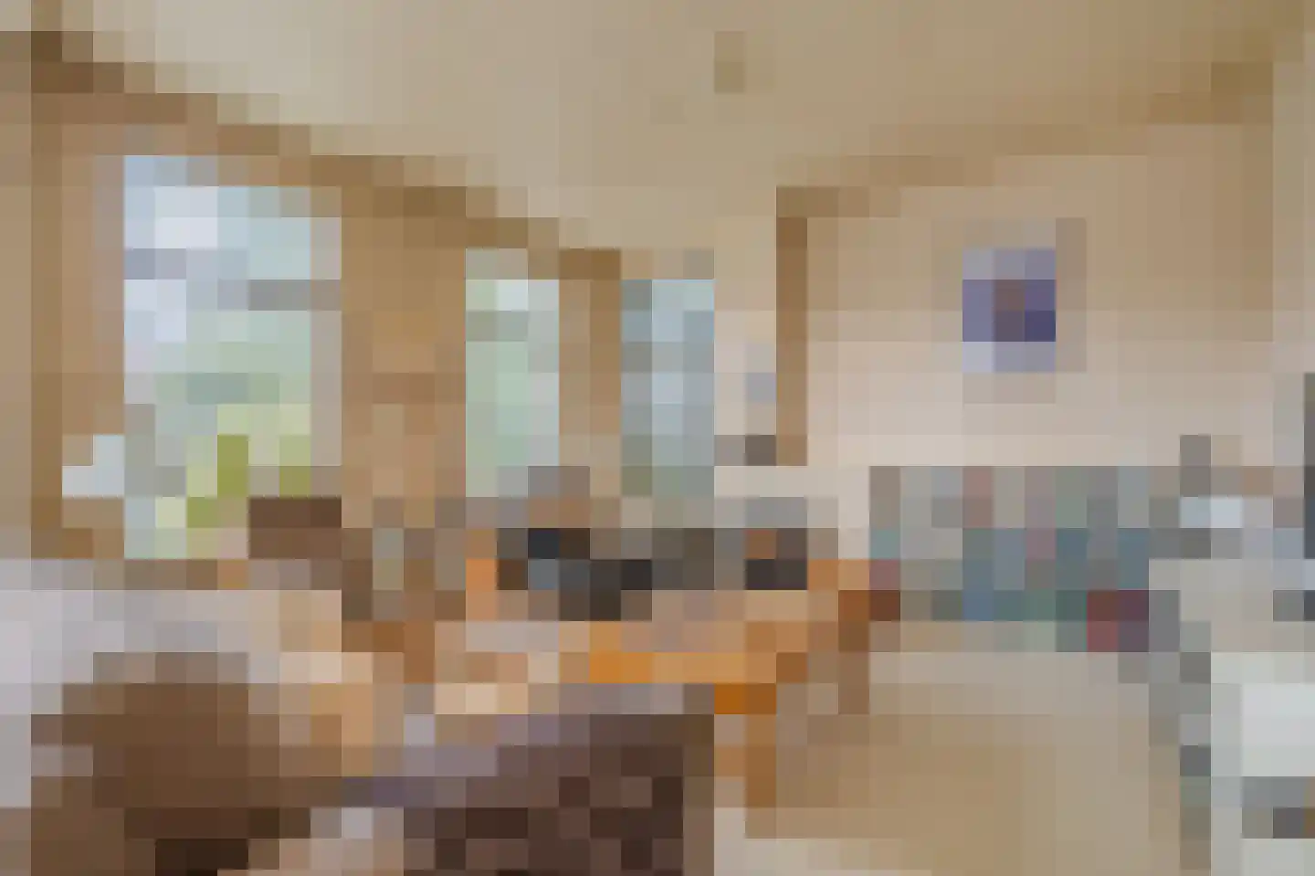 Langewijk 81 Sappemeer thumbnail 5