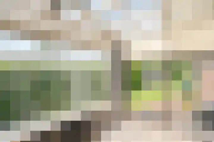 Langewijk 82 Dedemsvaart thumbnail 19