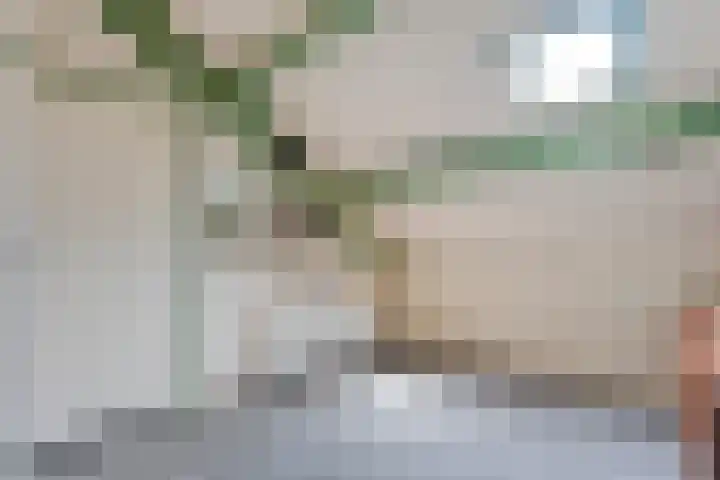 Langewijk 82 Dedemsvaart thumbnail 29