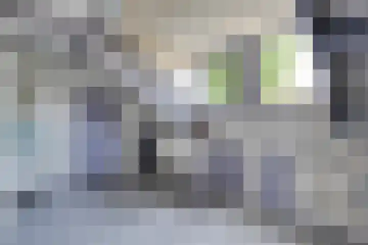 Langewijk 82 Dedemsvaart thumbnail 30