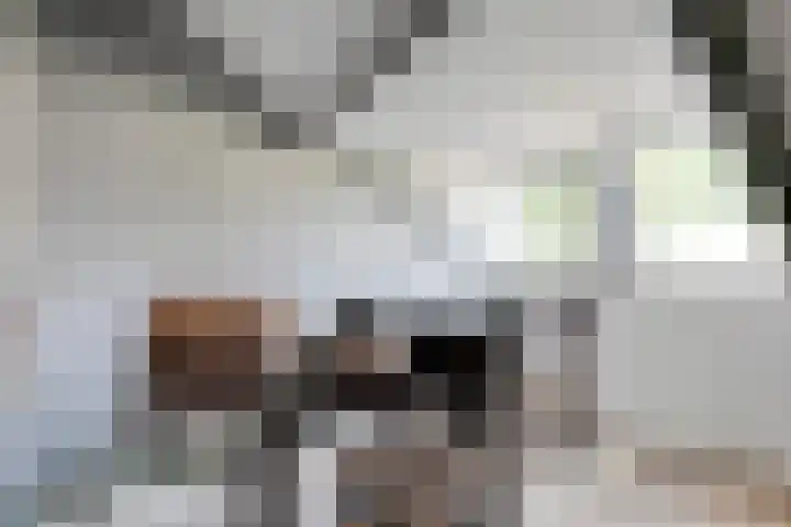 Langewijk 82 Dedemsvaart thumbnail 31