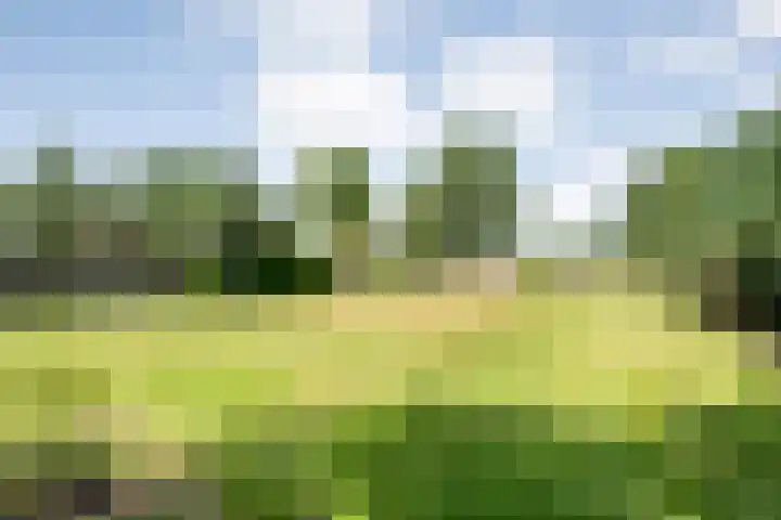 Langewijk 82 Dedemsvaart thumbnail 4
