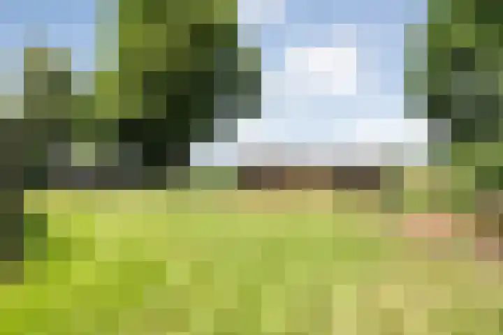 Langewijk 82 Dedemsvaart thumbnail 40