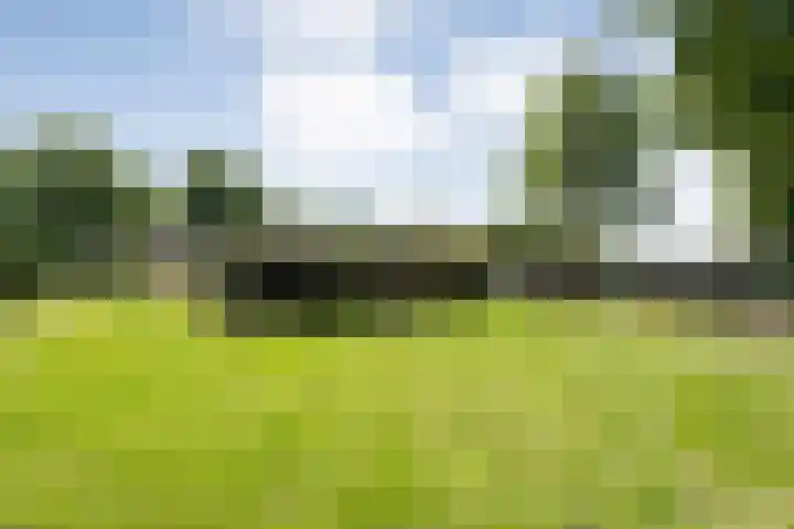 Langewijk 82 Dedemsvaart thumbnail 41