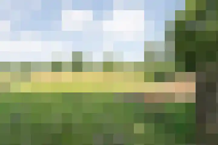 Langewijk 82 Dedemsvaart thumbnail 5