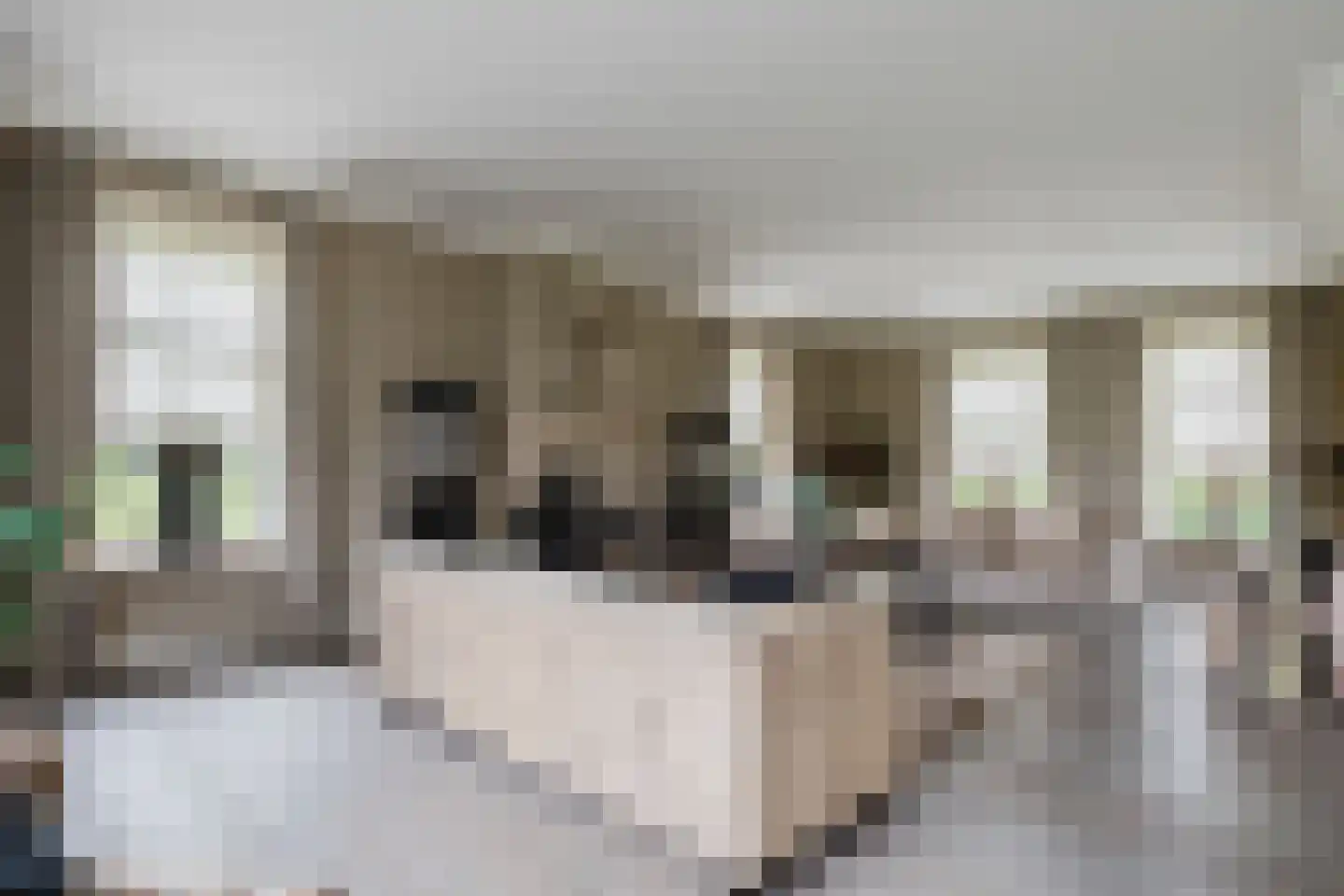 Langewijksweg 2 Bontebok thumbnail 10
