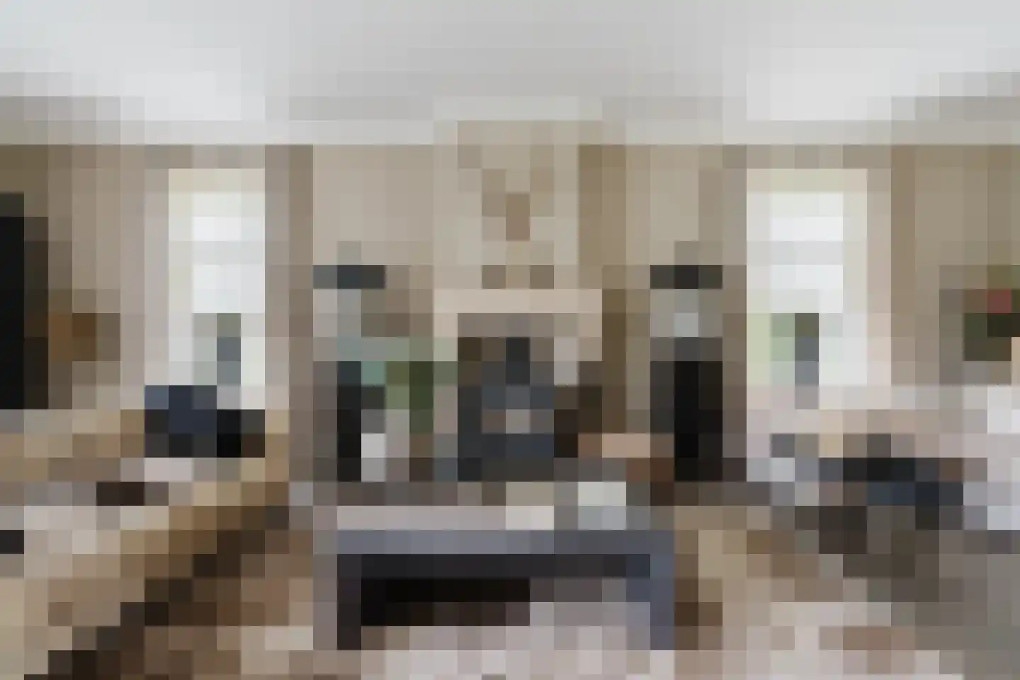 Langewijksweg 2 Bontebok thumbnail 11