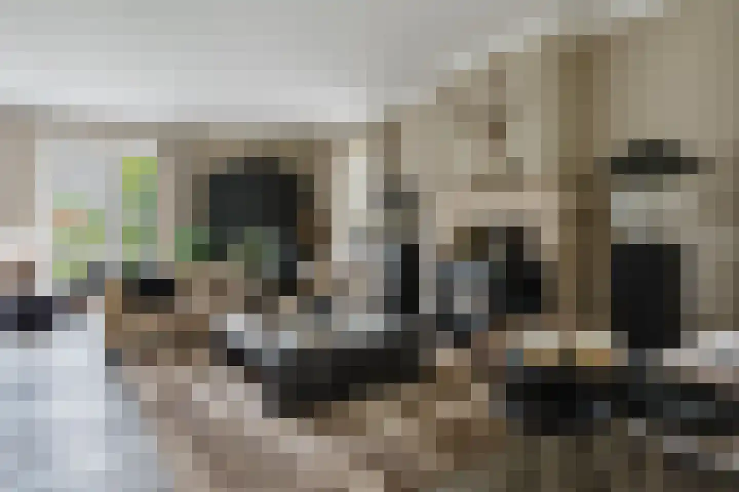 Langewijksweg 2 Bontebok thumbnail 12