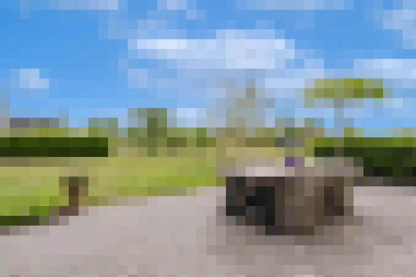 Langewijksweg 2 Bontebok thumbnail 14