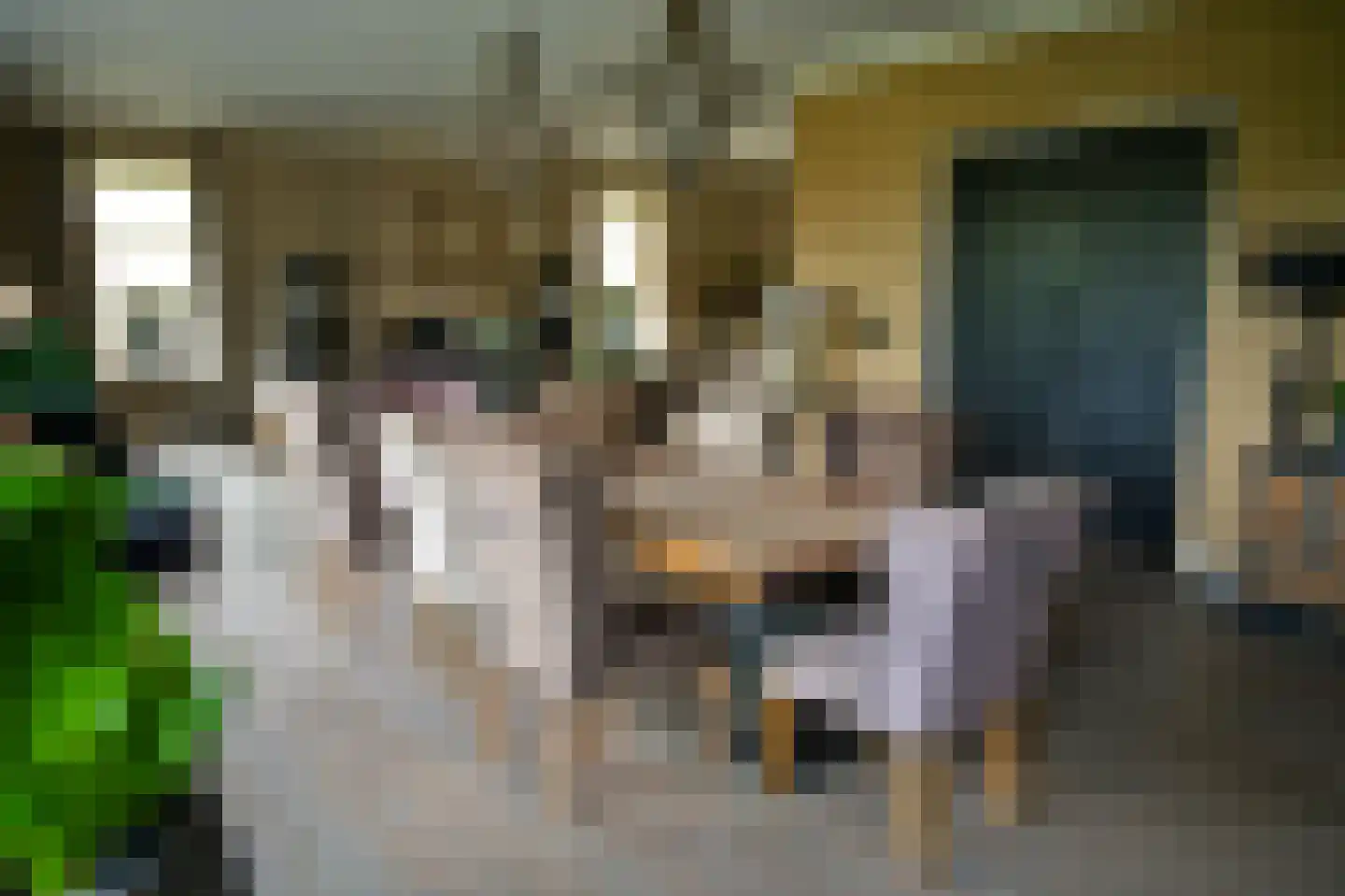 Langewijksweg 2 Bontebok thumbnail 14