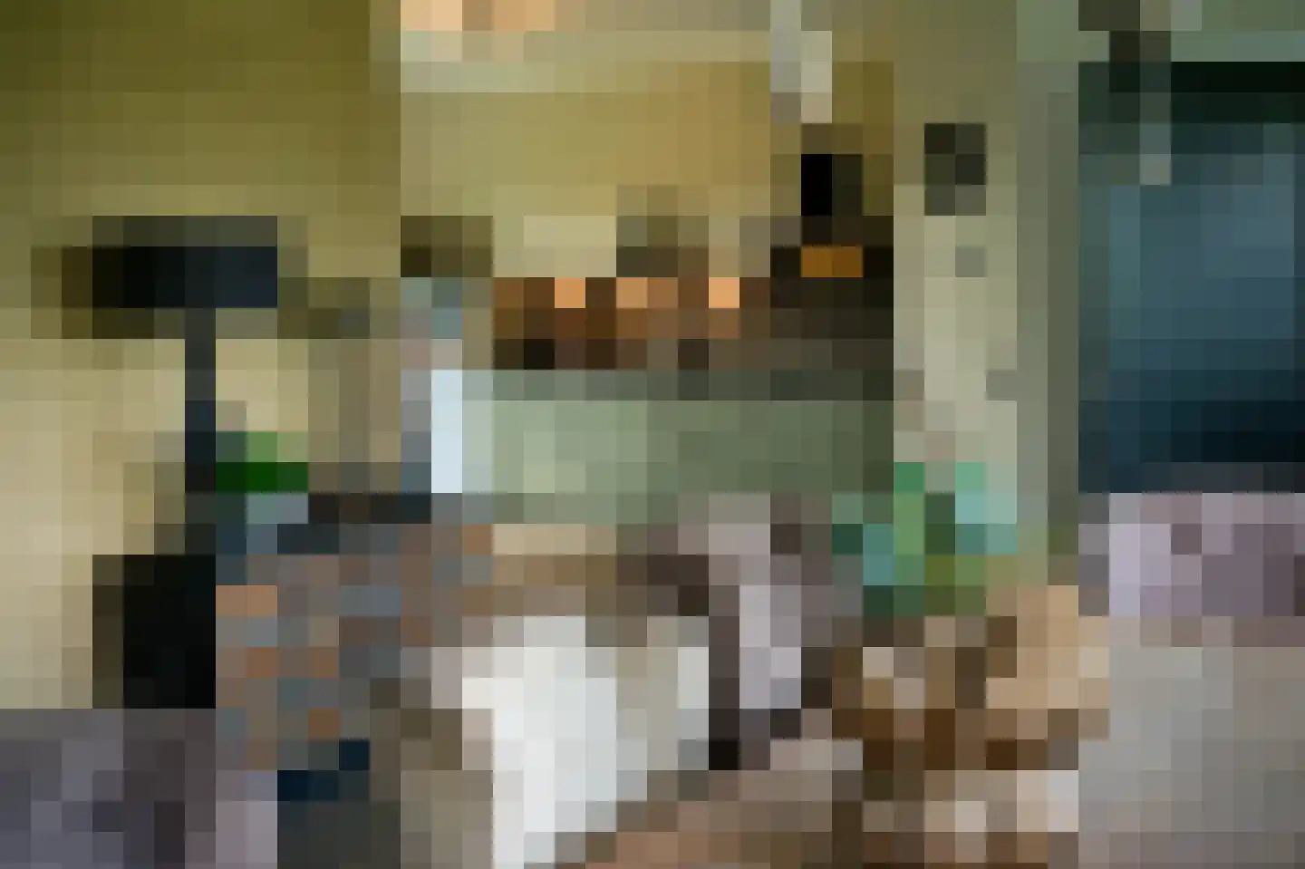 Langewijksweg 2 Bontebok thumbnail 15