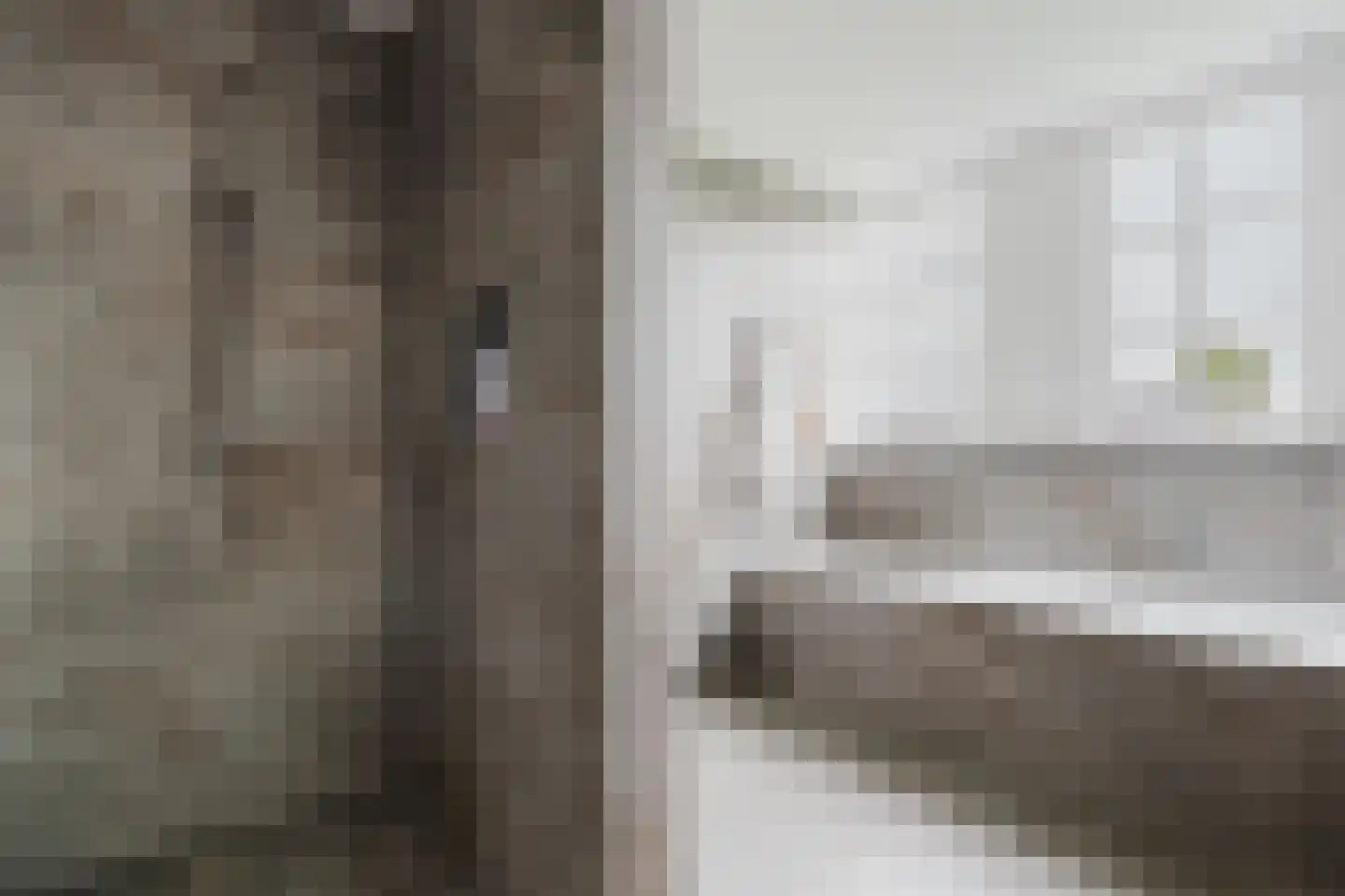 Langewijksweg 2 Bontebok thumbnail 18