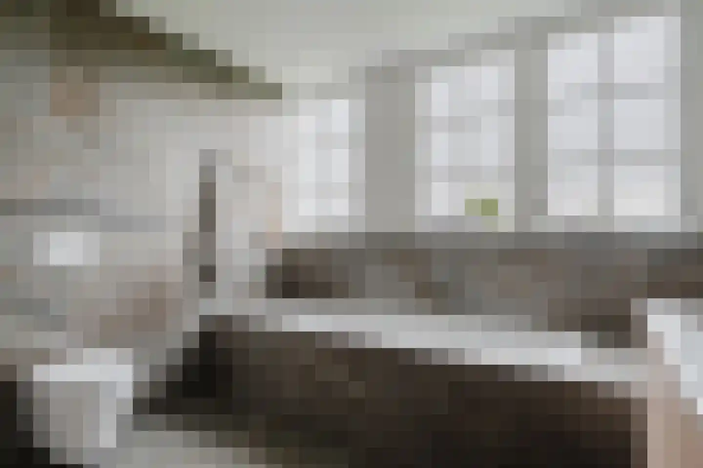 Langewijksweg 2 Bontebok thumbnail 19