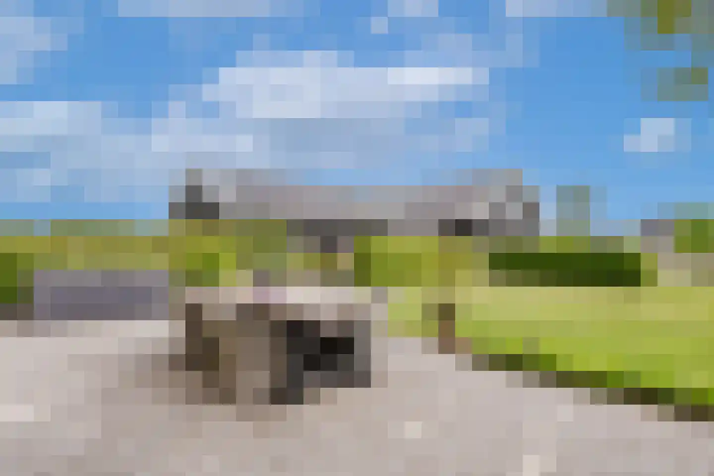 Langewijksweg 2 Bontebok thumbnail 23