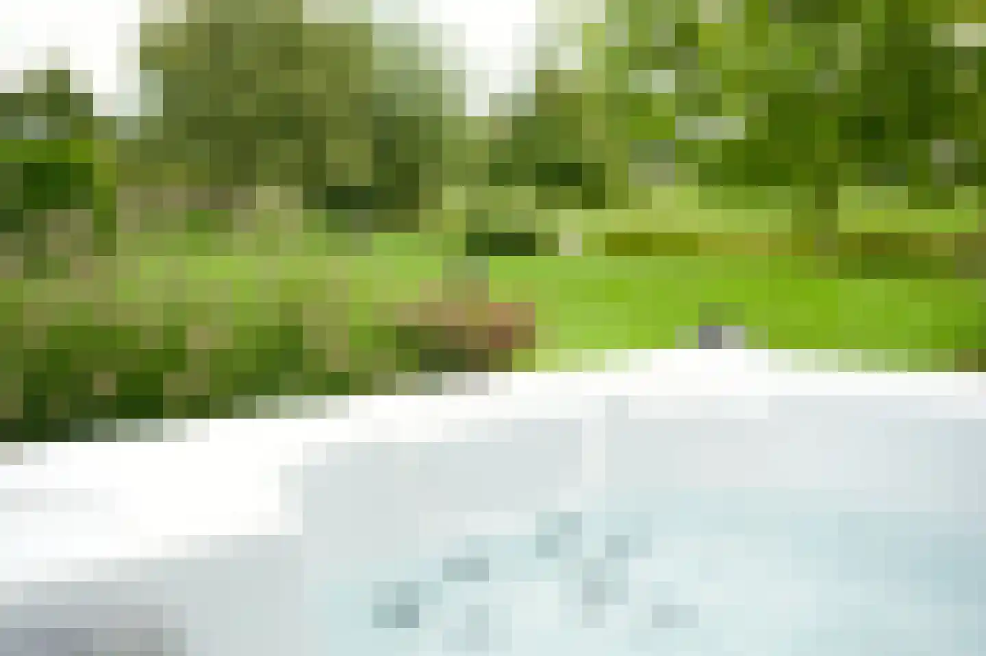 Langewijksweg 2 Bontebok thumbnail 24