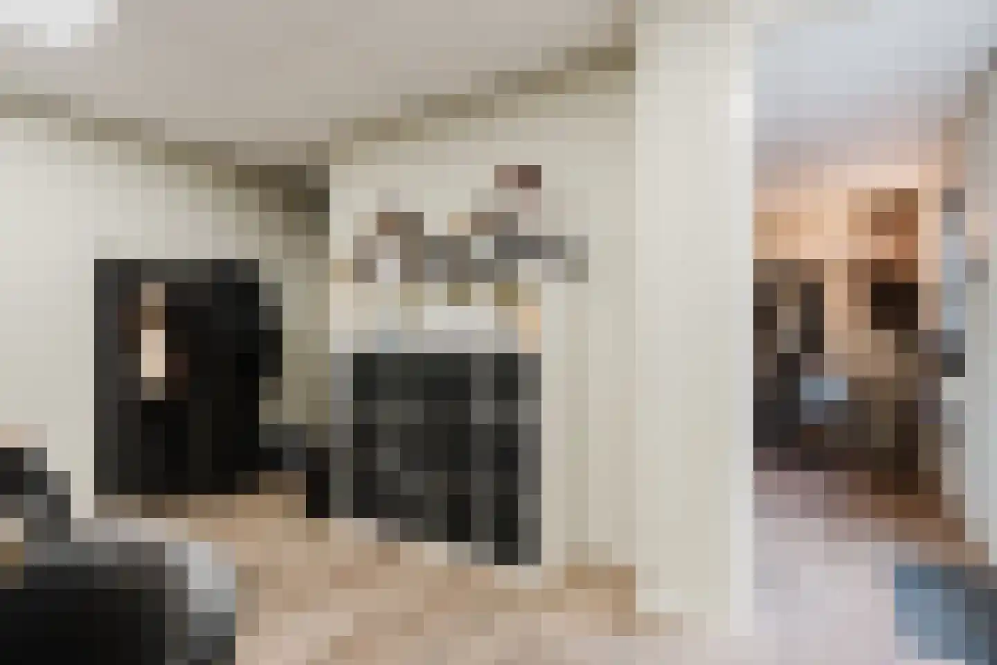 Langewijksweg 2 Bontebok thumbnail 26