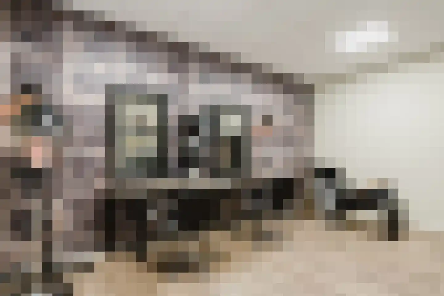 Langewijksweg 2 Bontebok thumbnail 27