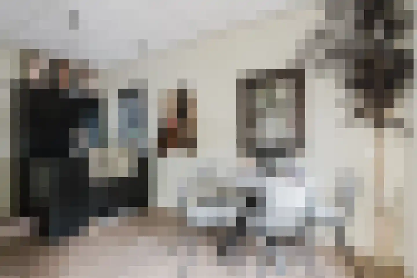 Langewijksweg 2 Bontebok thumbnail 28