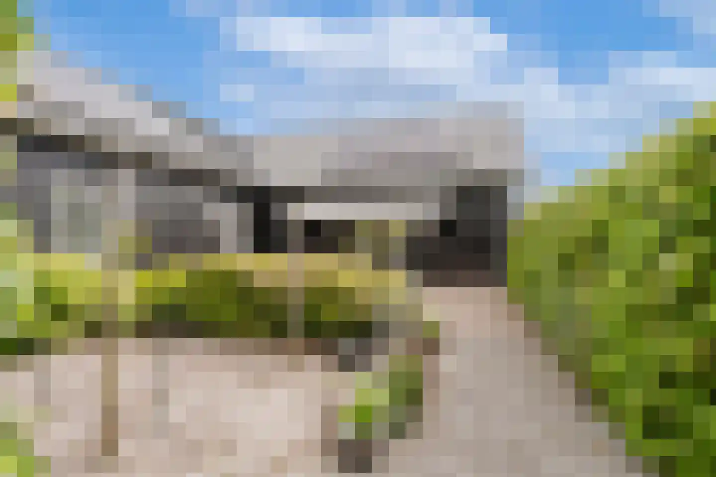 Langewijksweg 2 Bontebok thumbnail 28