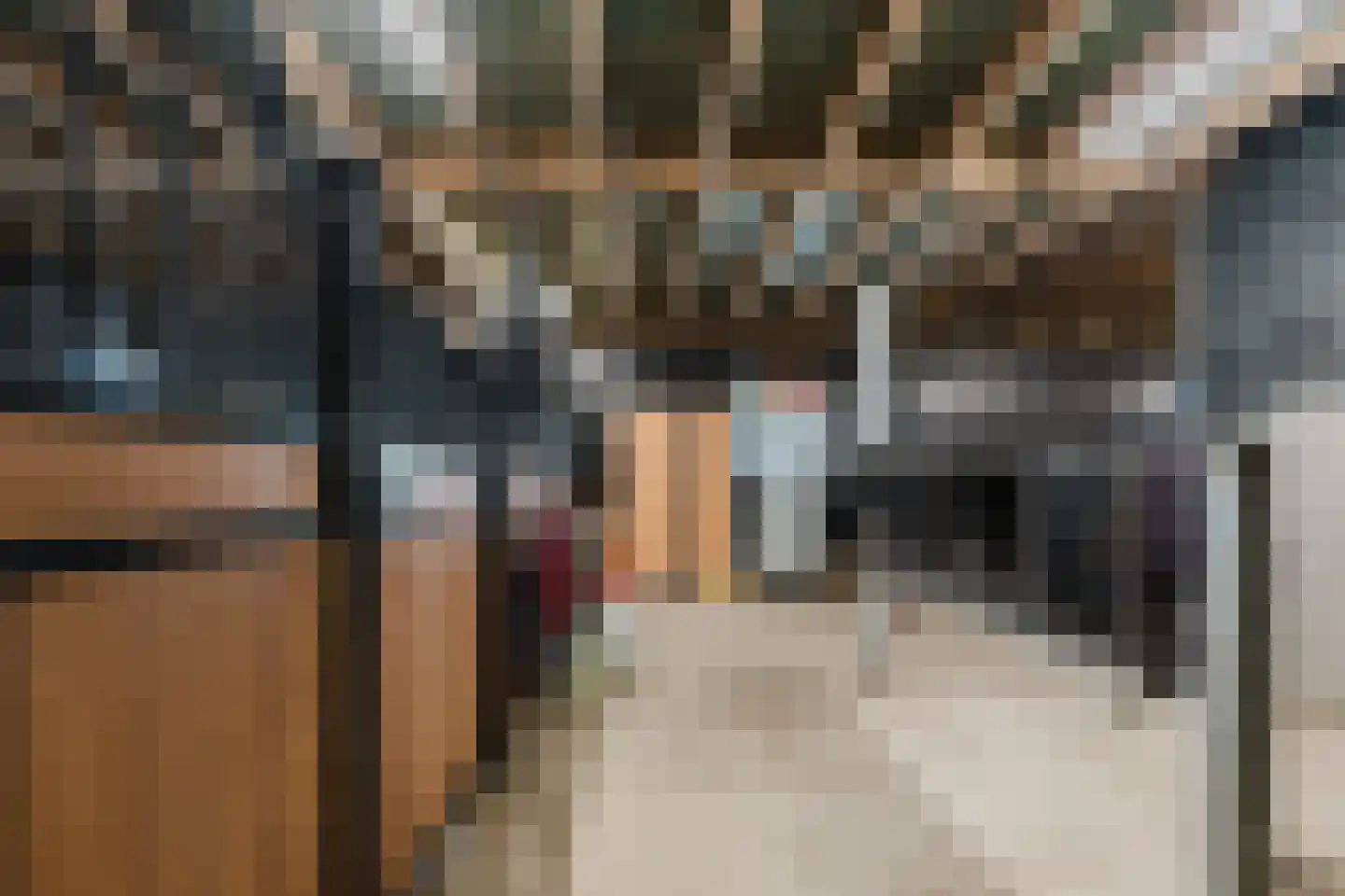 Langewijksweg 2 Bontebok thumbnail 30
