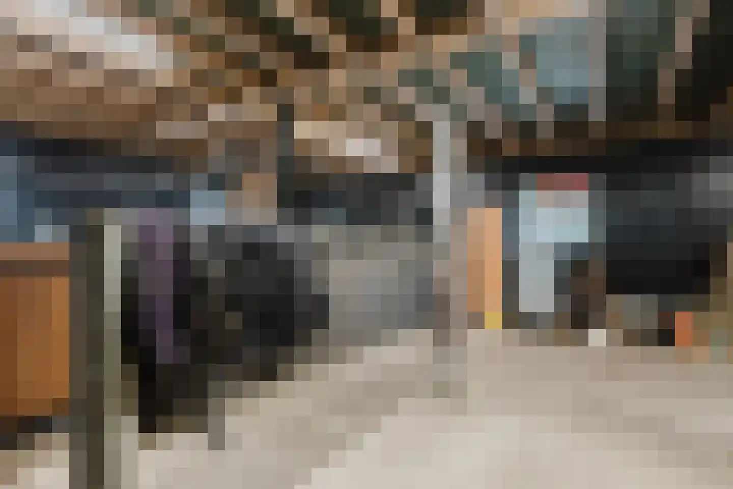 Langewijksweg 2 Bontebok thumbnail 30