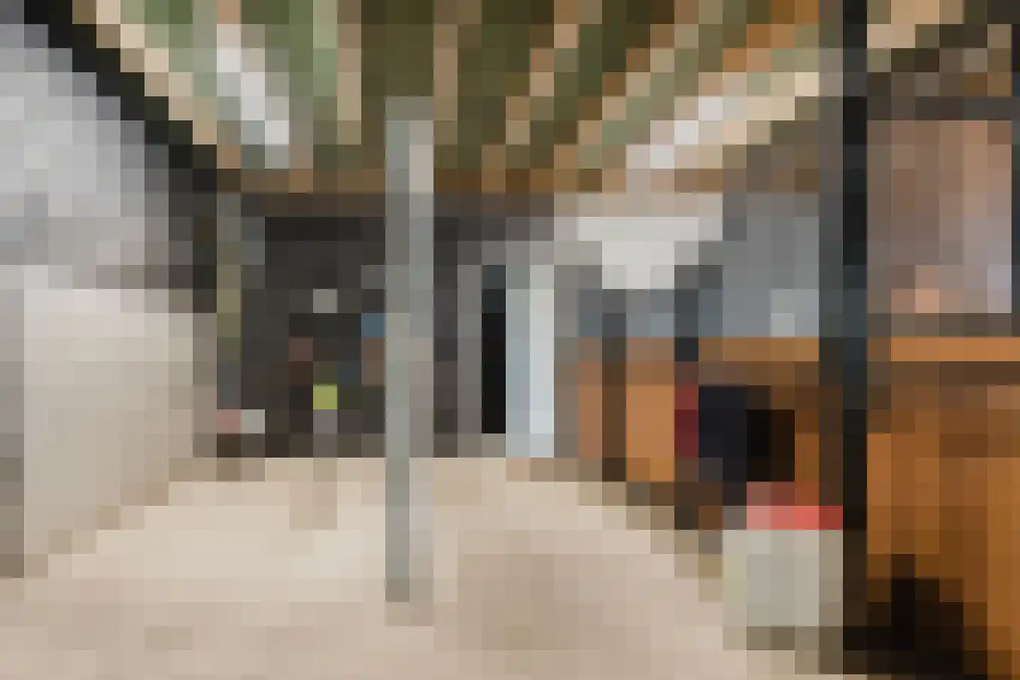 Langewijksweg 2 Bontebok thumbnail 31