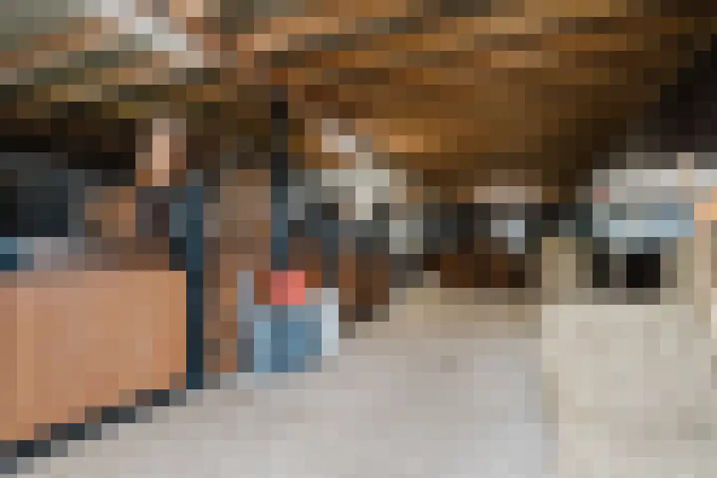 Langewijksweg 2 Bontebok thumbnail 32