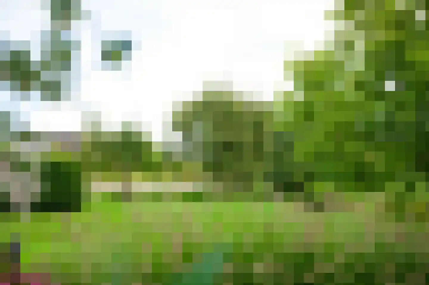 Langewijksweg 2 Bontebok thumbnail 35