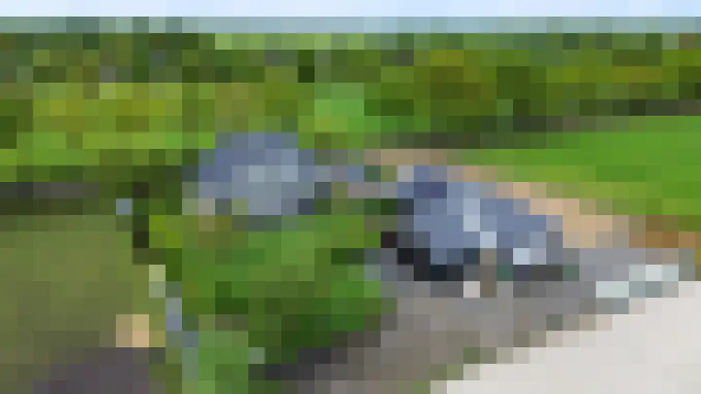 Langewijksweg 2 Bontebok thumbnail 36