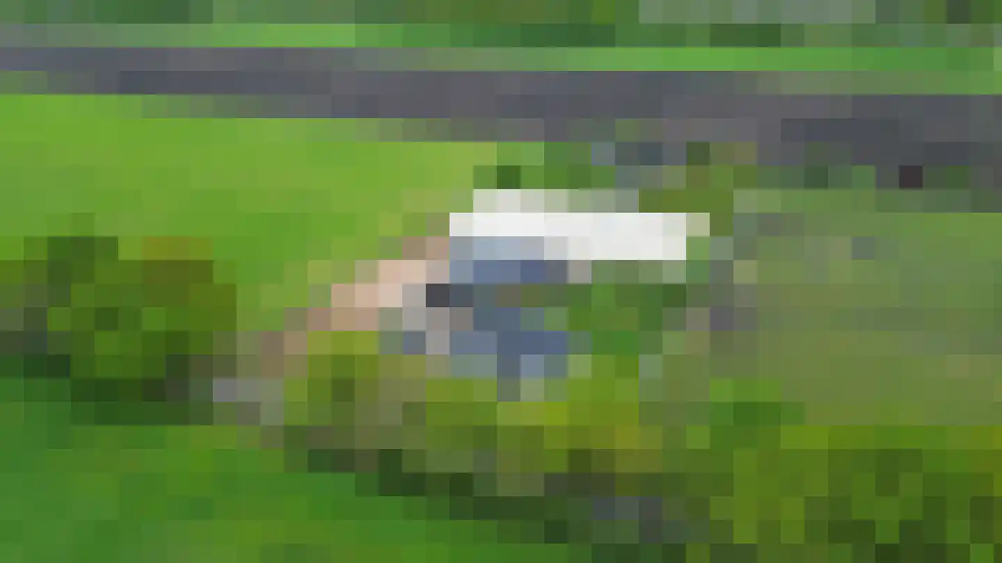 Langewijksweg 2 Bontebok thumbnail 4