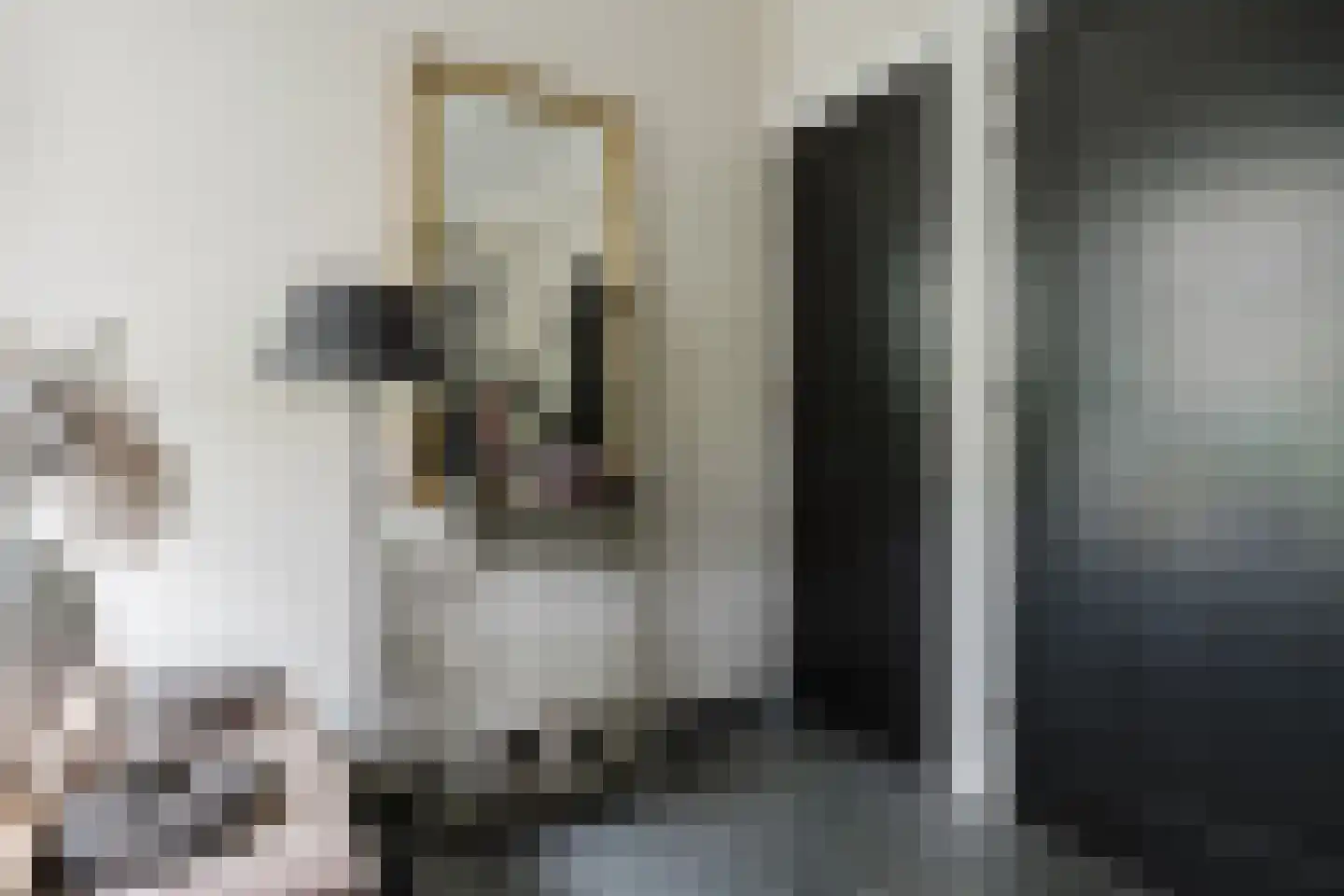 Langewijksweg 2 Bontebok thumbnail 8
