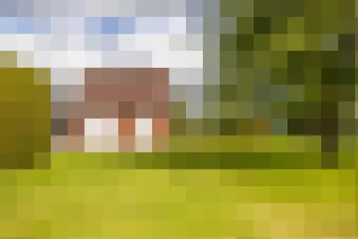 Langewolderweg 26 Oldekerk thumbnail 56