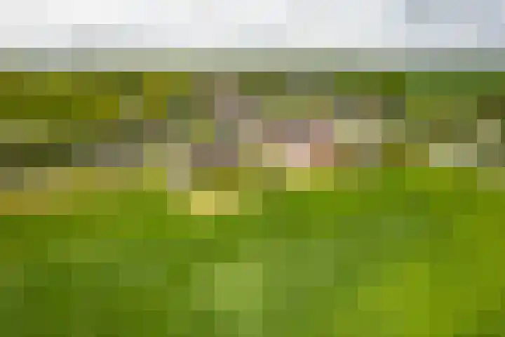 Langewolderweg 26 Oldekerk thumbnail 64