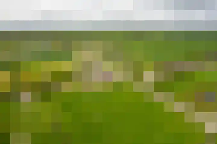 Langewolderweg 26 Oldekerk thumbnail 66