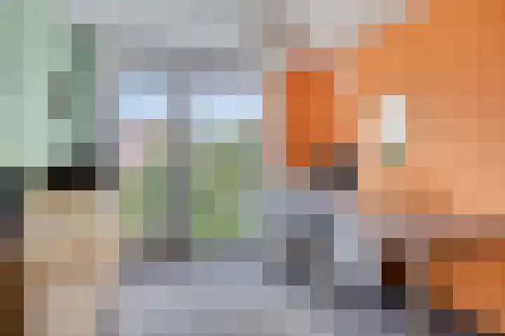 Langewoldlaan 31 Groningen thumbnail 32