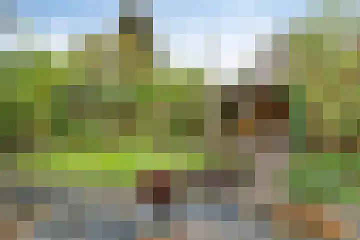 Langewoldlaan 31 Groningen thumbnail 4