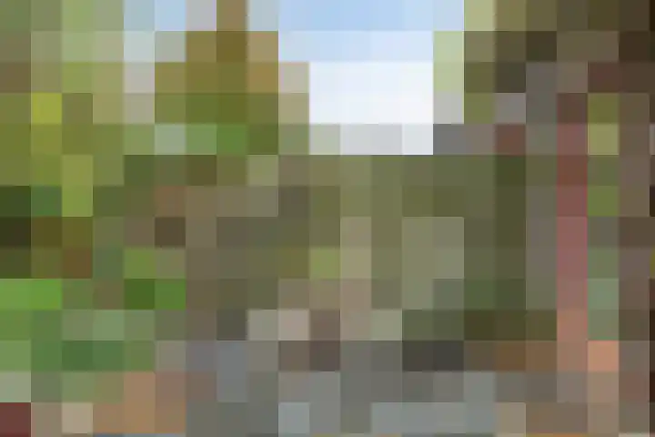 Langewoldlaan 31 Groningen thumbnail 44