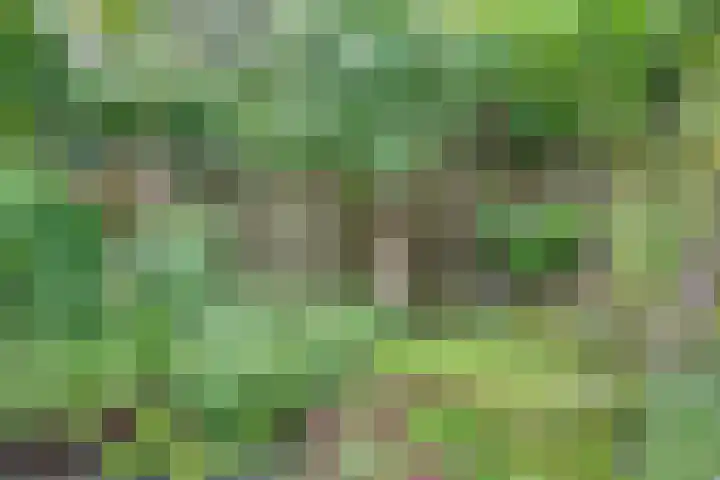 Langewoldlaan 31 Groningen thumbnail 47