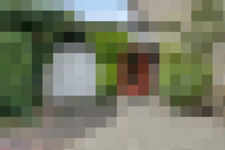 Langewoldlaan 31 Groningen thumbnail 49