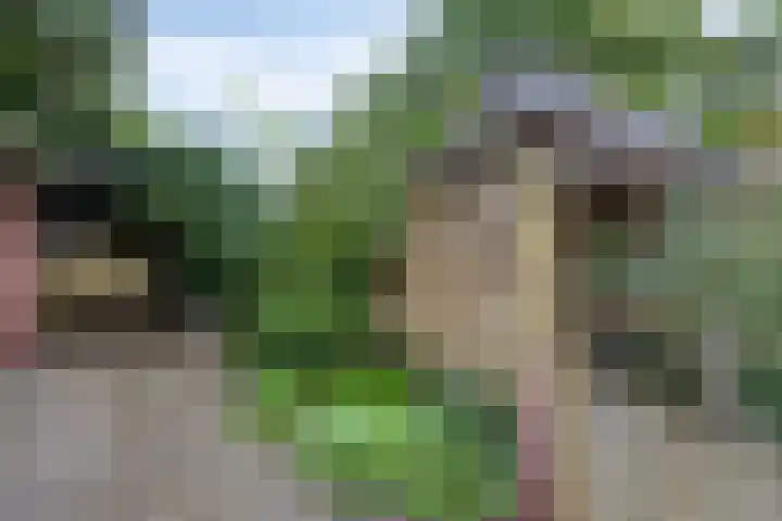 Langewoldlaan 31 Groningen thumbnail 52