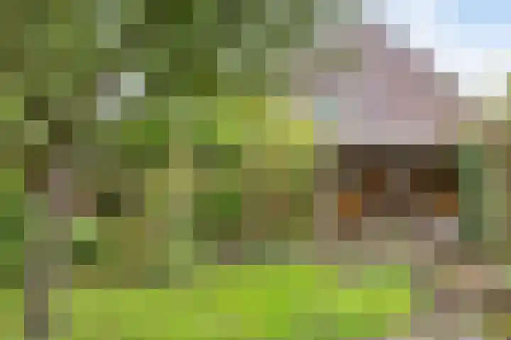 Langewoldlaan 31 Groningen thumbnail 53