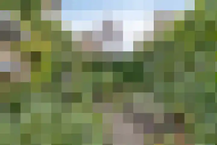 Langewoldlaan 31 Groningen thumbnail 54